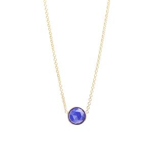 Ariel Gordon Lapis Gold Necklace